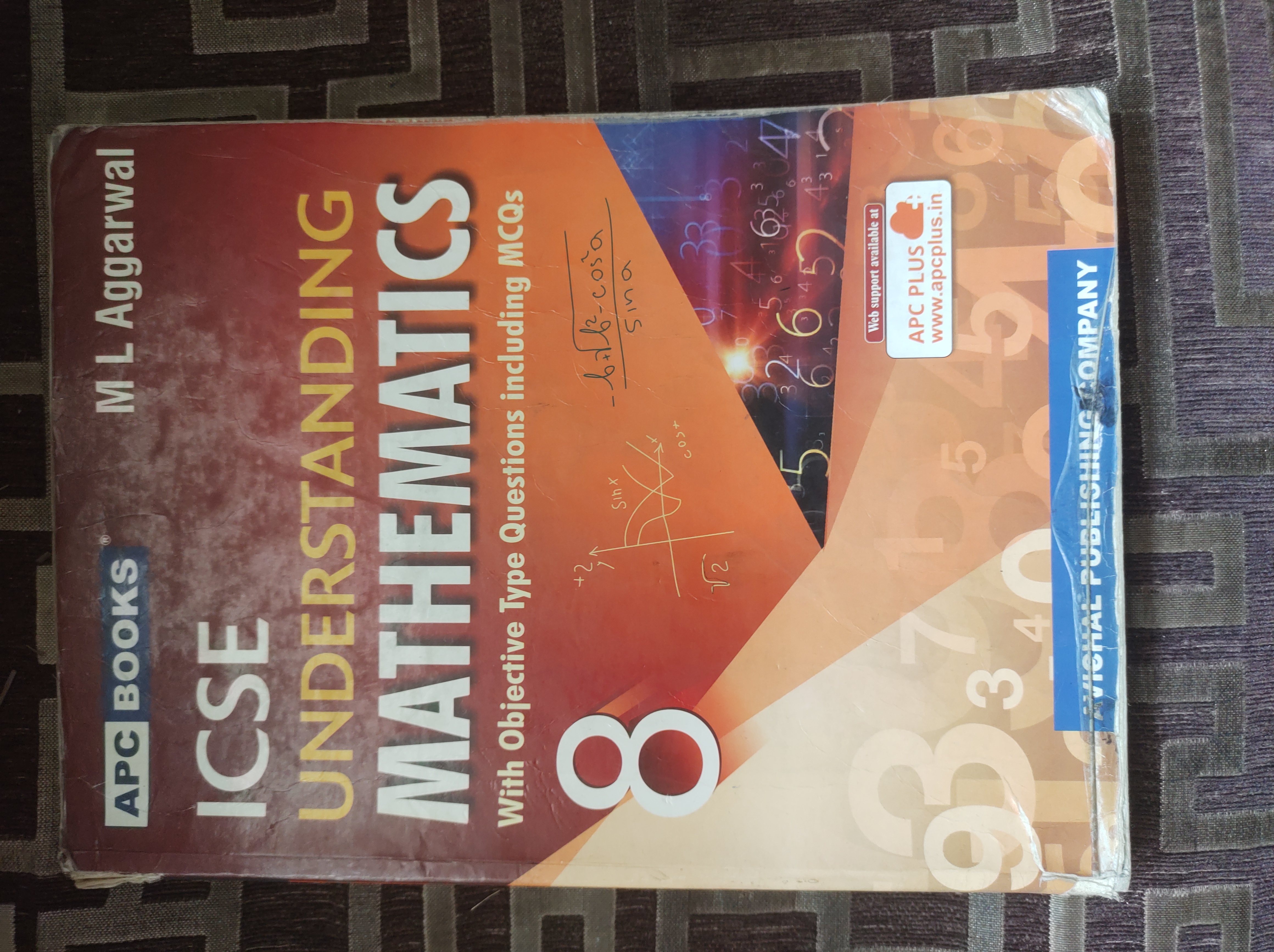 Understanding mathematics